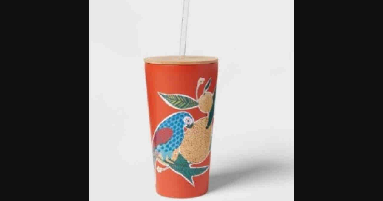 Stainless Double Wall Vacuum Straw Tumbler Parrot 18.5oz Bamboo Lid